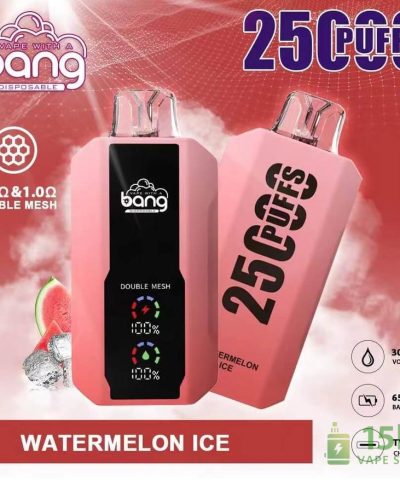 Bang 25000 Disposable Vape - 25K Puffs, 650mAh Rechargeable Battery
