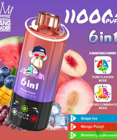 Bang Leader 110000 Disposable Vape: 100K Puffs, Rechargeable Battery & 10 Flavors