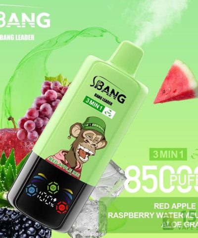 Bang LEADER 85000 Disposable Vape - 85K Puffs, 15 Flavors, Rechargeable