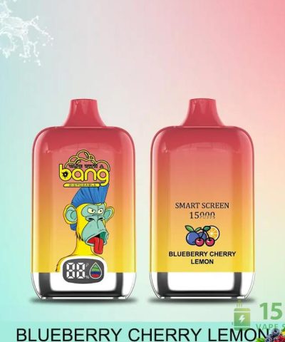 Bang Smart Screen 15000 Disposable Vape | 15000 Puffs | 5% Nicotine