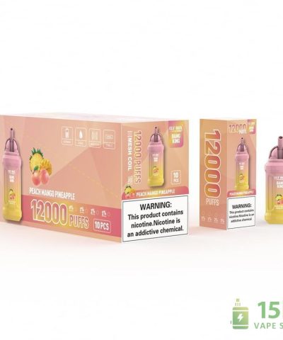 Alternative view of ELF BOX BK12000 Disposable Vape with Mesh Coil – Rechargeable & High Capacity