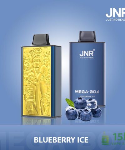 JNR Mega Box 25000 Disposable Vape - High-Puff E-Cig with Multiple Flavors